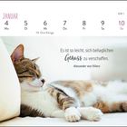 Januar, KW 1: 4 Mo, 5 Di, 6 Mi Hl. Drei Könige, 7 Do, 8 Fr, 9 Sa, 10 So. Zitat: "Es ist so leicht, sich behaglichen Genuss zu verschaffen." Alexander von Villers. Katze entspannt auf Kissen.