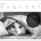 Kalenderseite mit Zitat: "Wenn du das Bedürfnis nach Kräftigung empfindest – ziehe dich zurück von der Welt." Darunter Katze unter Decke.