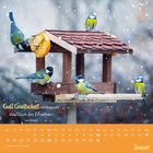 „Gute Gesellschaft verdoppelt das Glück des Einzelnen.“ aus Irland. Illustration: Kohlmeisen auf Vogelhaus im Schnee.