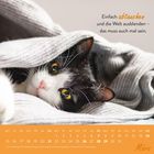 Ein Kalender für März. Text: "Einfach abtauchen und die Welt ausblenden – das muss auch mal sein." Eine Katze unter einer Decke.
