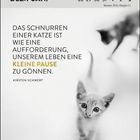 Zitat über Katzen und Pausen von Kirsten Schwert. Schwarz-weißes Bild mit niedlichem Kätzchen im Vordergrund.