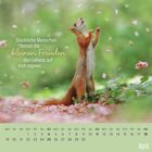 „Glückliche Menschen lassen die kleinen Freuden des Lebens auf sich regnen.“ Ein Eichhörnchen steht auf rosa Blüten. Kalender für April.
