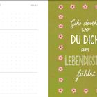 Links: Kalender für Februar 2027, Woche 5. Rechts: "Gehe dorthin, wo DU DICH am LEBENDIGSTEN fühlst." Grüne Illustration mit rosa Blumen.