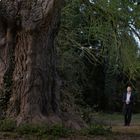 Keine Texte sichtbar. Ein riesiger Baum mit einem rauen Stamm im Vordergrund, ein Mann steht daneben und blickt nach oben.