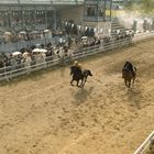Zwei Reiter in einem Rennen auf einer staubigen Bahn, umgeben von jubelnden Zuschauern, die schicke Kleidung tragen.