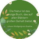 Zitat von Goethe auf grünem Hintergrund, umgeben von Blättern und kleinen weißen Blüten.