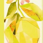 Eine Illustration zeigt eine abstrakte Zitrone mit bunten, geometrischen Formen und einer rosafarbenen Blüte.