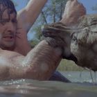 Ein Mann kämpft in einem Gewässer mit einem großen Tier. Beide sind nass, der Mann hat verletzte Arme. Hintergrund: Bäume, blauer Himmel.