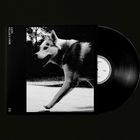 Text: Noah Petter x Drift. Schwarz-weißes Foto von einem laufenden Hund, rechts daneben eine schwarze Schallplatte.