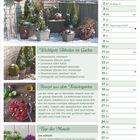 Januar-Kalenderblatt, Gartenarbeiten, Rezept, Tipp des Monats, winterliche Gartenfoto mit Pflanzen in Körben.