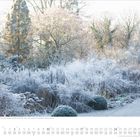 Januar-Kalenderseite mit frostiger Winterlandschaft; Bäume und Sträucher mit Raureif bedeckt, ruhige Atmosphäre.