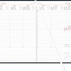 Termineinträge vom 8. bis 14. November; Montag bis Sonntag. Enthält Wochentage und Kalenderwochenangaben.