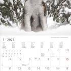 Januar 2027, Kalender mit Monatsübersicht. Ein Hund im Schnee zwischen Tannenbäumen.