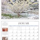 JANUAR. Foto: Schneebedeckter Strauch. Texte: "Witchhazel", "Strauch in Flammen", "Leise Töne". Kalendarium mit Notizfeld.