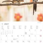 1·2027; Januar; Montag; Dienstag; Mittwoch; Donnerstag; Freitag; Samstag; Sonntag. Streifenhörnchen und ein Vogel.