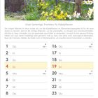 Kalender für Februar 2027; Gartentipp zu Kübelpflanzen. Foto zeigt bunte Blumen in Körben an Holzzaun.