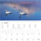 Kalender Februar 2027, mit Bild: Zwei Schwäne auf einem See, im Hintergrund ein schneebedeckter Berg.