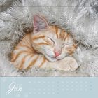 "Jan" steht oben, darunter ein Monatskalender. Ein rot getigerter Kätzchen schläft eingekuschelt in flauschigem Material.
