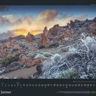 Text: "Januar", darunter ein Monatskalender. Aufnahme zeigt eine frostige Wüstenlandschaft im Morgenlicht.