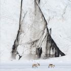 Januar. Eislandschaft mit zwei Rentieren, die vor einem schneebedeckten Gebirge laufen. Text über Svalbard-Ren. Geo-Logo.
