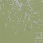 "2027" und ein quadratisches Logo mit einem Baum. Olivenzweige mit Blättern und Früchten in einer feinen Illustration.