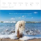 5. Kalenderwoche, Februar 2027. "Wenn der Plan nicht funktioniert, ändere den Plan, nicht das Ziel." Ein mit Eis bedecktes Stück Holz am Meer.