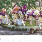 Lila Netzblatt-Schwertlilie, Schneeglöckchen und Christrosen in Tassen und Gläsern auf einem Holztisch. Januar 2027.