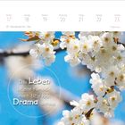 "Woche 20" und "Mai" oben. "Das Leben ist eine Komödie, mach bitte kein Drama daraus." zeigt blühende Kirschzweige vor blauem Himmel.