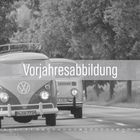 Text: "Vorjahresabbildung", "01 2026". Zwei klassische VW-Busse fahren auf einer von Bäumen gesäumten Straße.