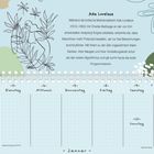 Text über Ada Lovelace, Kalenderwoche vom 4. bis 10. Januar. Skizze einer Frau mit Pflanzenlinien.