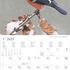 Kalenderblatt für Januar 2027. Rotbrustiger Vogel auf verschneitem Ast. Schneeflocken fallen im Hintergrund.