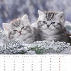 Kalendermonat Januar mit Tagen und Feiertagen. Zwei flauschige Kätzchen sitzen auf schneebedeckten Zweigen.