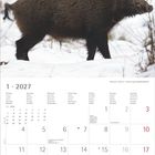 „1 · 2027“ steht oben groß. Ein Wildschwein im Schnee, Kalender darunter.