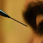 Es gibt keinen Text zu erwähnen. Ein geschlossener Lidbereich nahe einer feinen, nadelartigen Spitze. Warmes Licht.