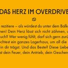 Titel: "DAS HERZ IM OVERDRIVE". 
Text: Freude und Liebe ungezähmt ausdrücken, Liebe als Geschenk an die Welt. 
Gelber Hintergrund.