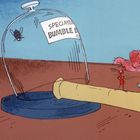 "Specimen Bumble Bee" steht auf einem Glasgefäß mit einer Biene. Eine rote Ameise steht daneben, im Hintergrund ein Fläschchen.