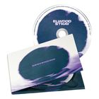 Text auf CD: "ELWOOD STRAY", Text auf Hülle: "DESCENDING". CD-Design lila und weiß, mit wellenförmigen Mustern.