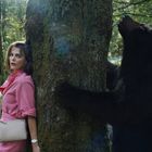 Eine Frau in rosa Kleidung lehnt erschrocken an einem Baum, neben ihr ein großer schwarzer Bär im Wald.