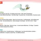 Inhalt: Frühling, Sommer, Herbst, Winter. Illustration: Eine fliegende Biene mit geschwungenen Linien.