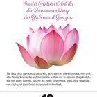 "Mittwoch 12 März". Zitat über Natur und Achtsamkeit, rosa Lotusblüte.