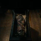 Keine sichtbaren Texte. Eine eingewickelte Mumie liegt in einem offenen Sarg in einem schwach beleuchteten Raum.