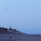 Ein einsamer Strand bei Dämmerung; im Zentrum eine Sanddüne mit einer Möwe darauf, ein Hund läuft im Vordergrund.