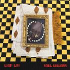 Unter "LEAP LIFE SAUL WILLIAMS" liegt ein verziertes Tuch auf schachbrettartigem Hintergrund, mit einem gerahmten Foto.