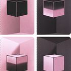 Vier Illustrationen eines Kubus vor unterschiedlichen pink-schwarzen Hintergründen.