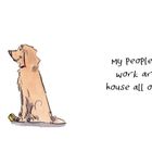 "Meine Leute lassen mich die ganze Zeit im Haus arbeiten." Zwei Hunde sitzen nebeneinander.