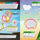 Links oben: "What is Mega Evolution?" Rechts oben: "Venusaur". Unten links: "Follow the Ampharos Evolution".