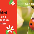 "The ladybird crawls on a green leaf in the garden. Can you count its spots?" Marienkäfer auf grünem Blatt.