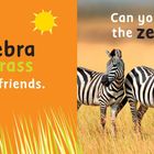 Links steht: "The zebra eats grass with its friends." Rechts steht: "Can you count the zebras?" Zebras auf einer Wiese.