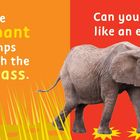 "The elephant stomps through the tall grass. Can you stomp like an elephant?" Ein Elefant auf orange-rotem Hintergrund.