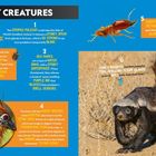 Texte: "STRIPED POLECAT", "STINK BUGS", "SEA HARES", "HOATZIN", "TERMITES FART", "HONEY BADGERS". Tiere und bunte Hintergründe.